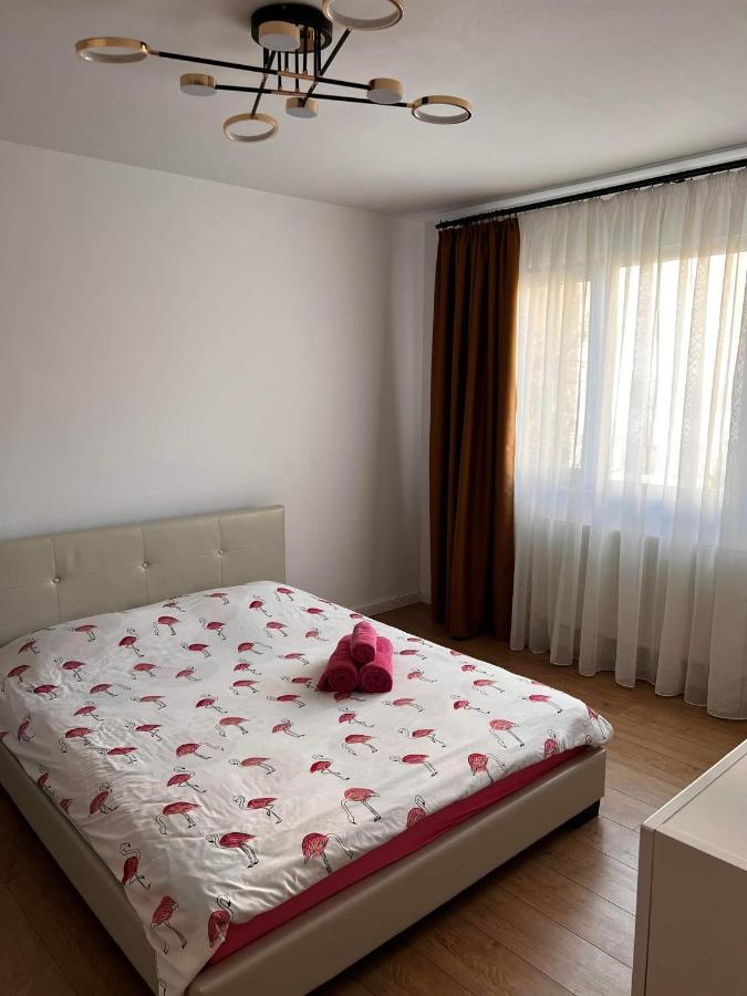 Appartamento Garsoniera Flamingo Garii 4 Braşov