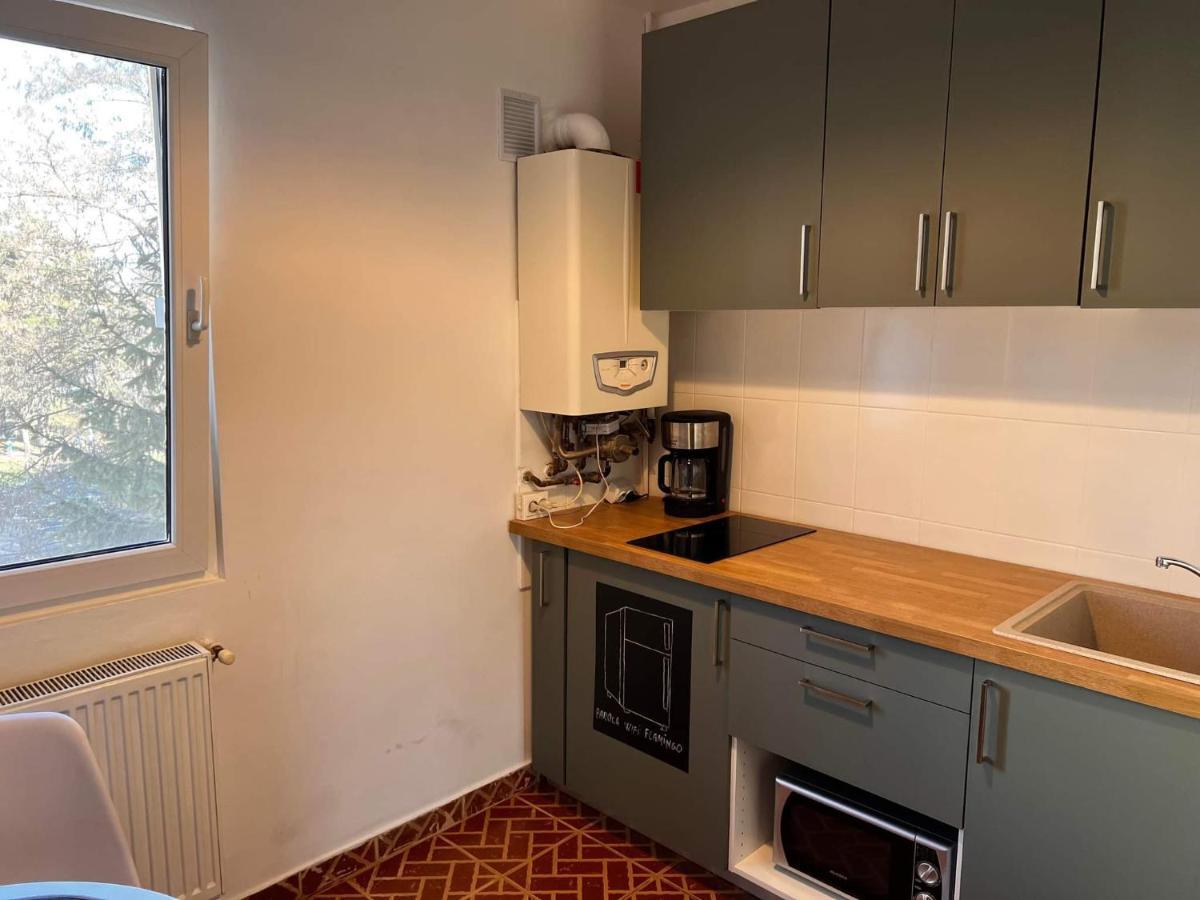 Appartamento Garsoniera Flamingo Garii 4 Braşov